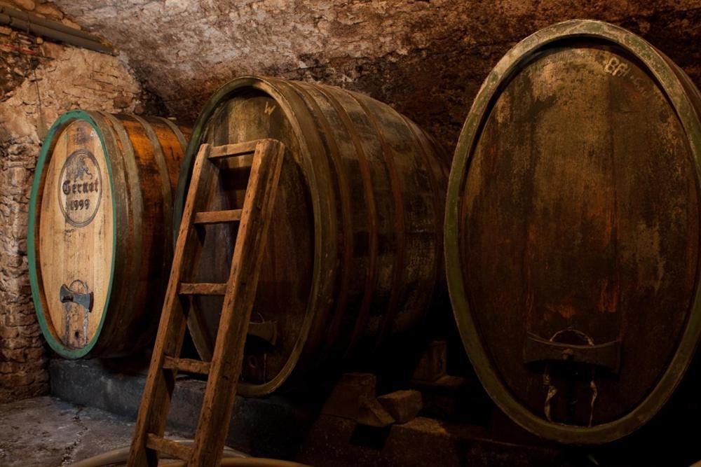Appartamento Wohnatelier Im Bioweingut Rust Esterno foto