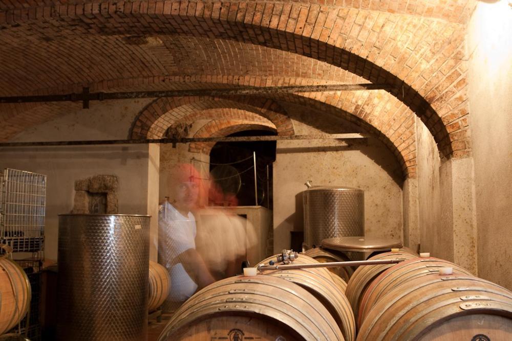 Appartamento Wohnatelier Im Bioweingut Rust Esterno foto