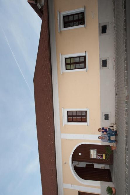 Appartamento Wohnatelier Im Bioweingut Rust Esterno foto